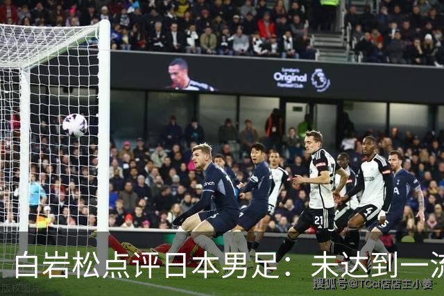 白岩松点评日本男足：未达到一流强队标准，仍需克服对荷兰的恐惧